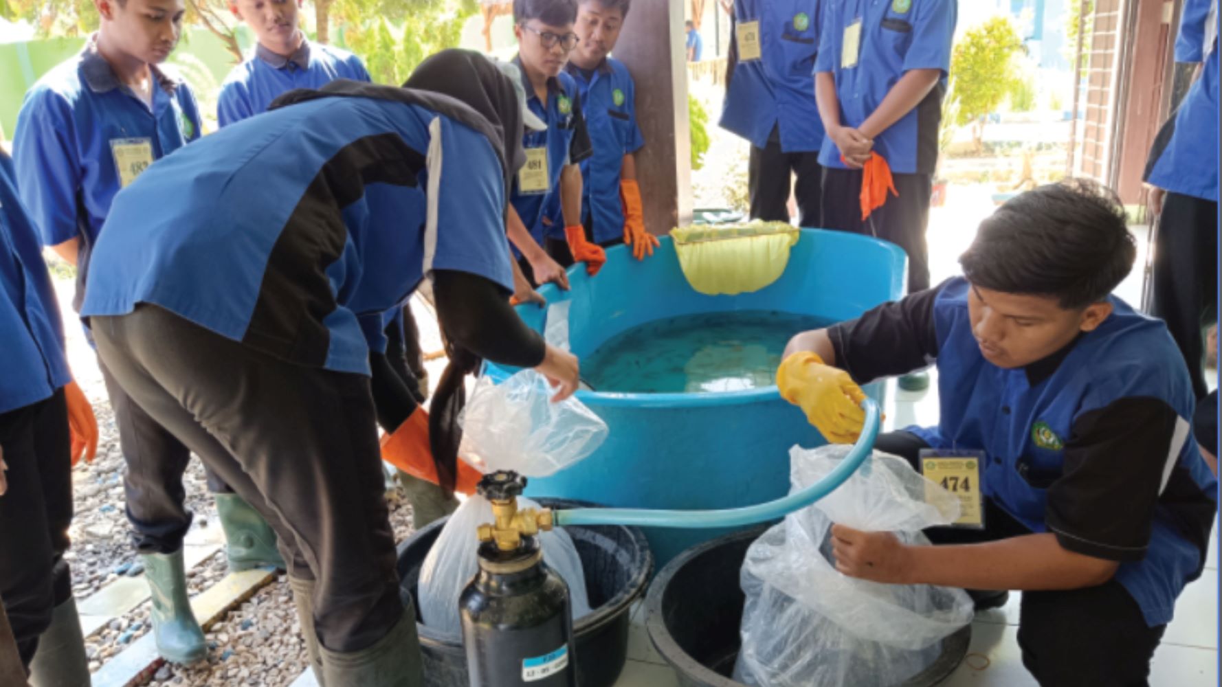 Agribisnis Perikanan Air Tawar