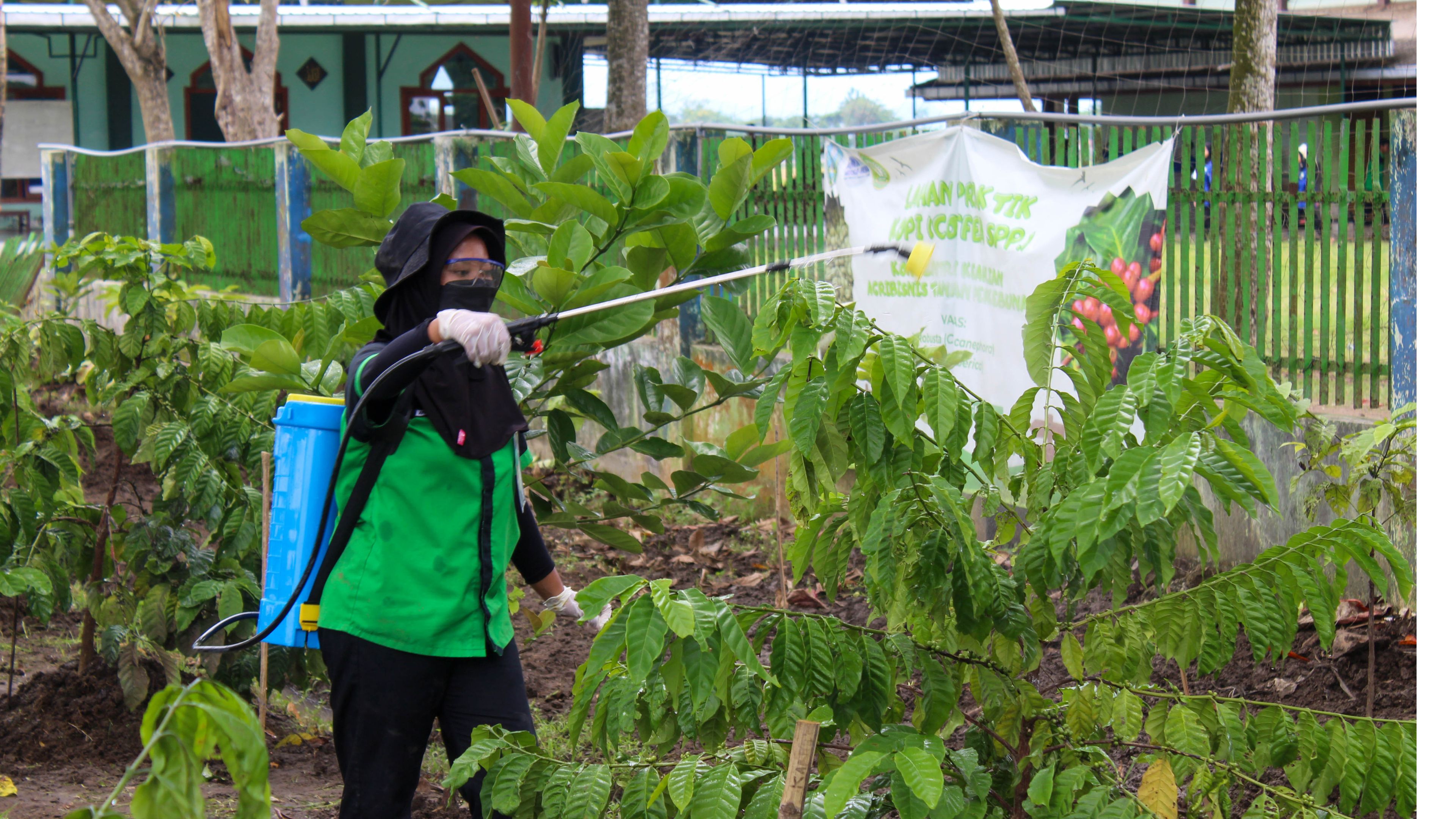 Agribisnis Tanaman Perkebunan 