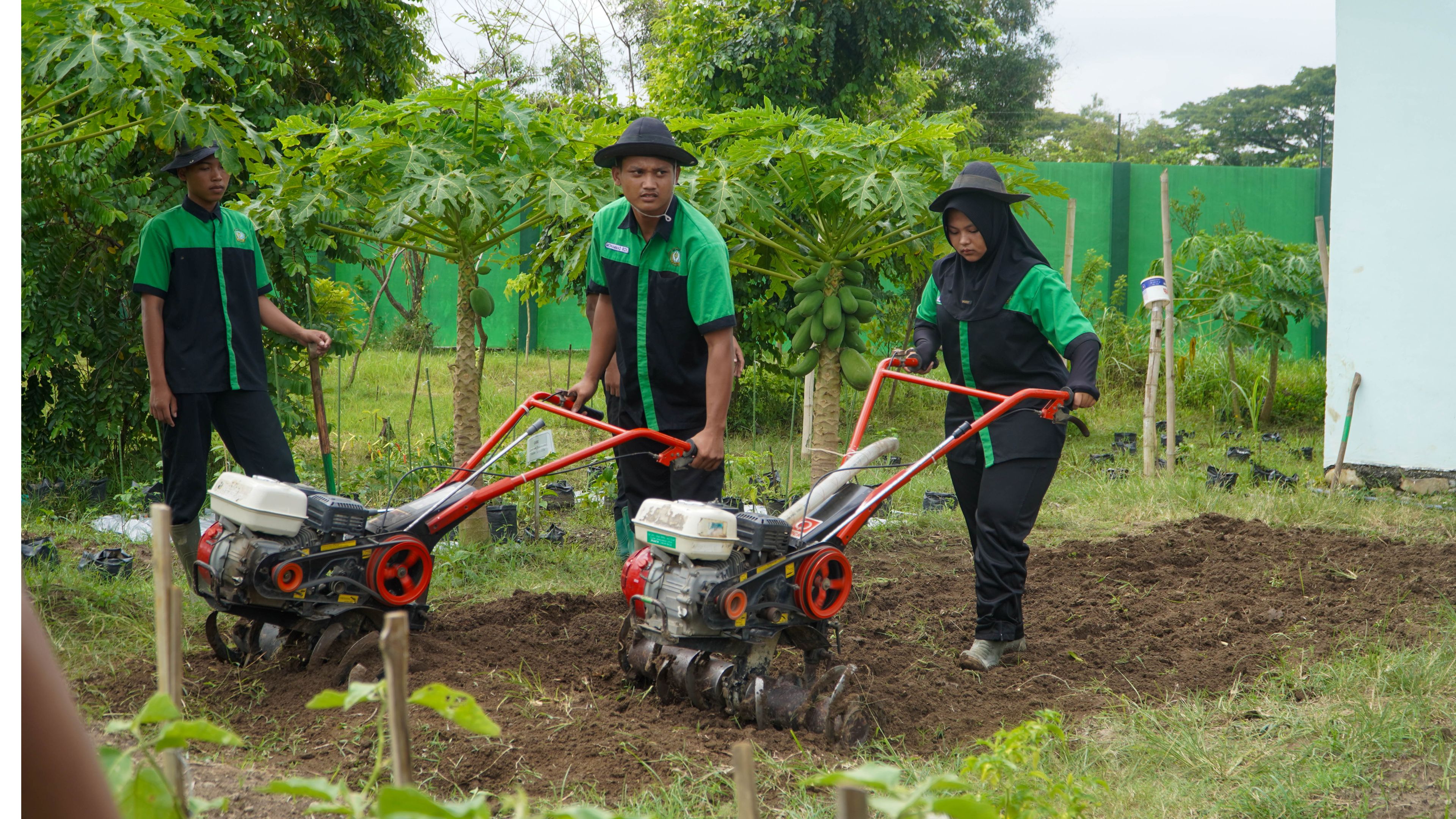 Agribisnis Tanaman Pangan Dan Holtikultura 