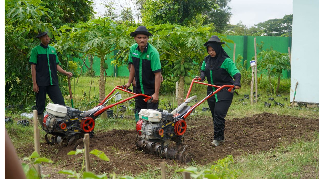 Agribisnis Tanaman Pangan Dan Holtikultura 