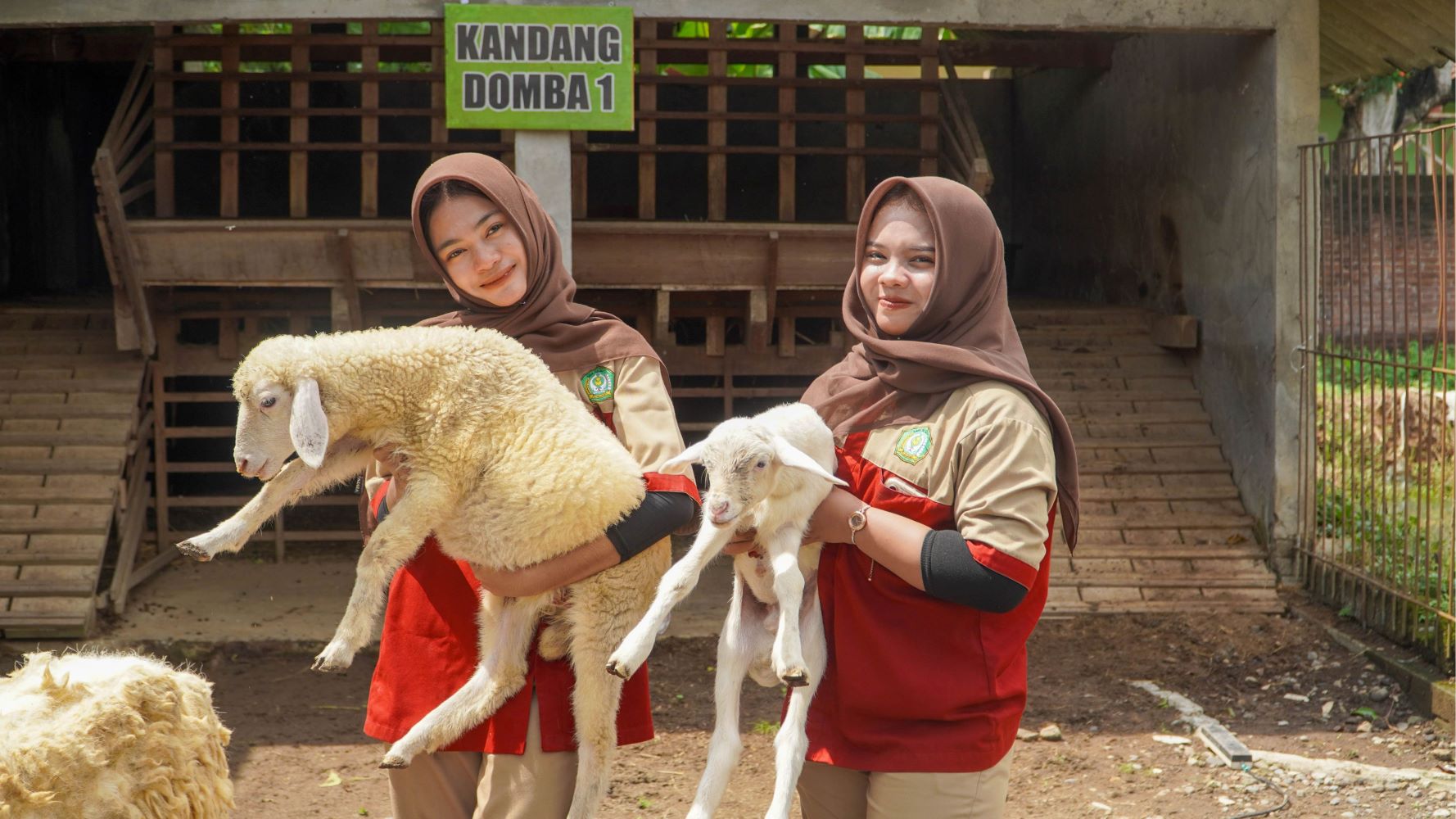 Agribisnis Ternak Ruminansia 