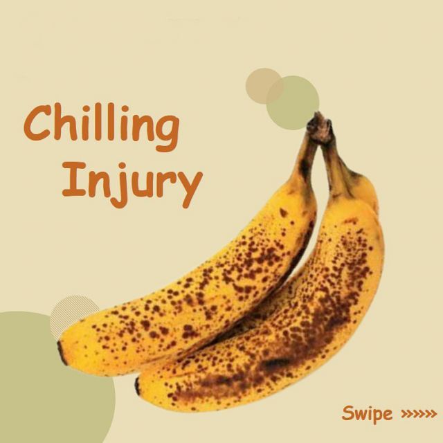 Chilling Injury