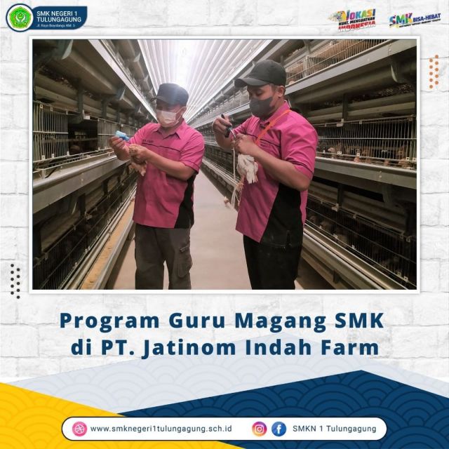 Pelaksanaan Program Guru Magang SMKN 1 Tulungagung Di PT. Jatinom Indah Farm