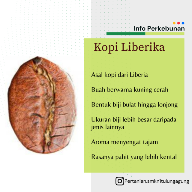 Kopi Liberika