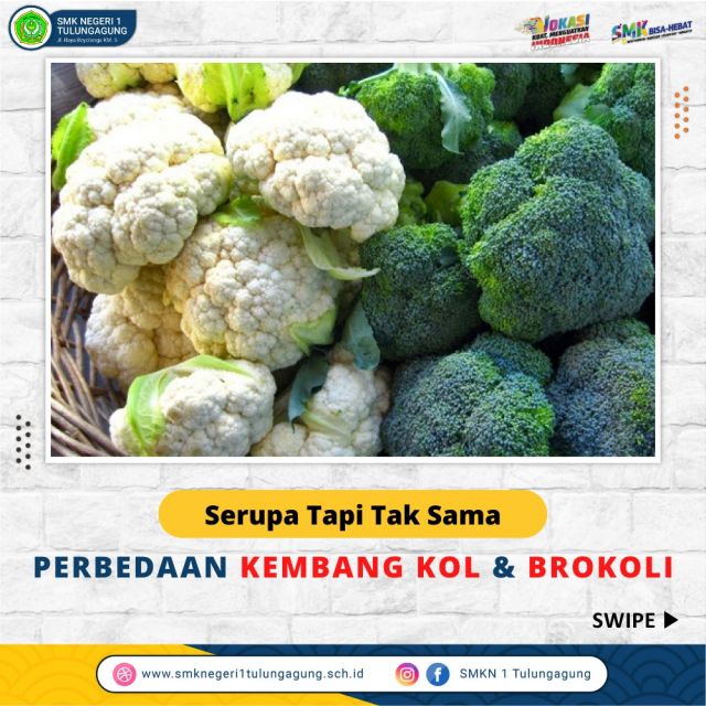 Perbedaan Kembang Kol & Brokoli