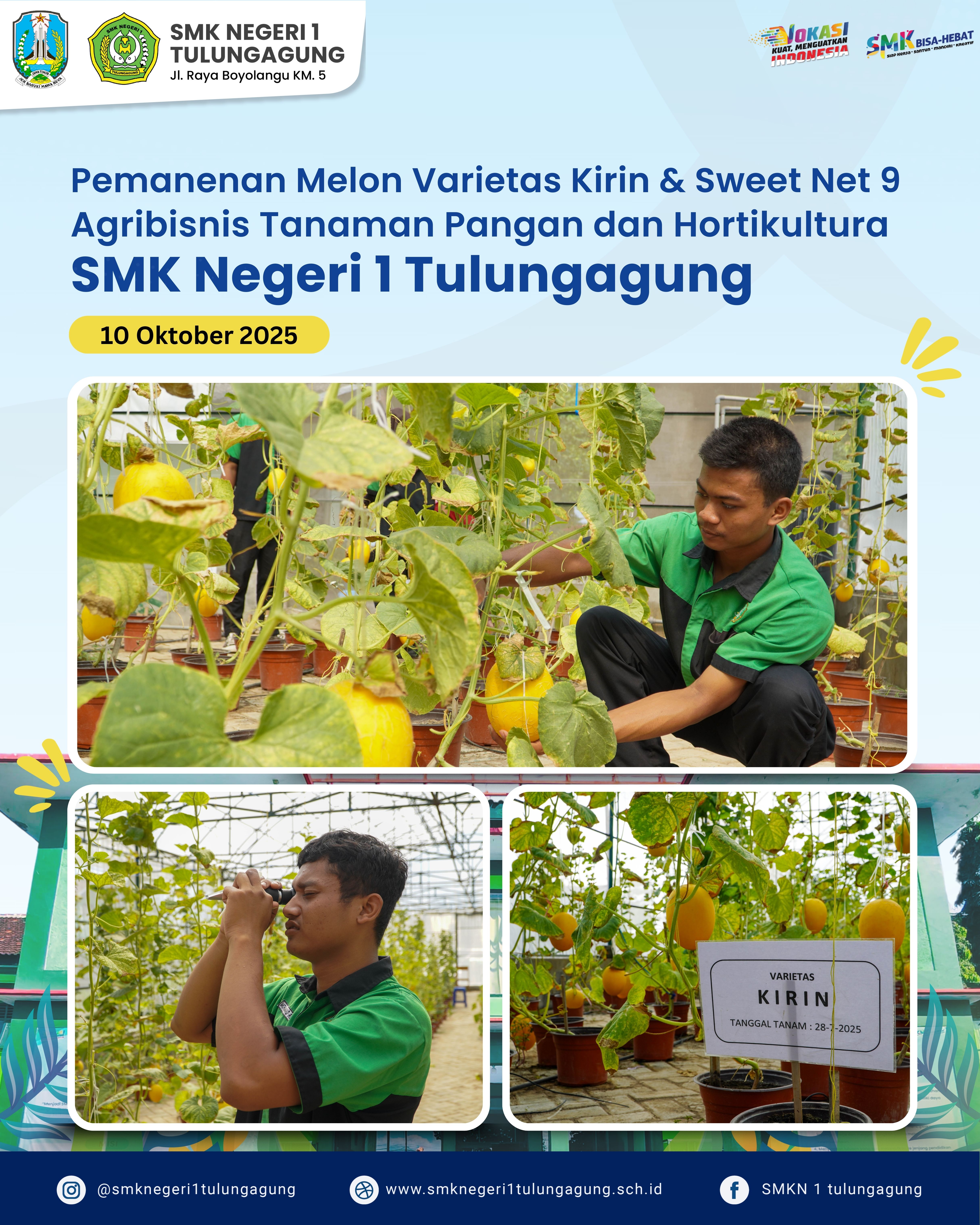 Panen Raya Melon Varietas Kirn & Sweet SMKN 1 Tulungagung