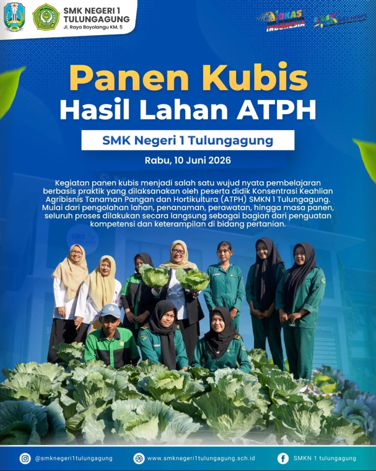Panen Kubis ATPH SMKN 1 Tulungagung: Dari Teori Langsung Beraksi