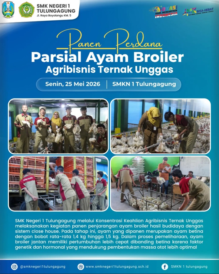 Panen Perdana Ayam Broiler Close House di SMKN 1 Tulungagung